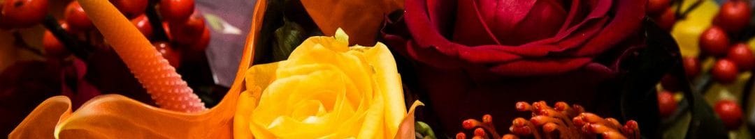 cropped-cropped-kerstdeco-2-1