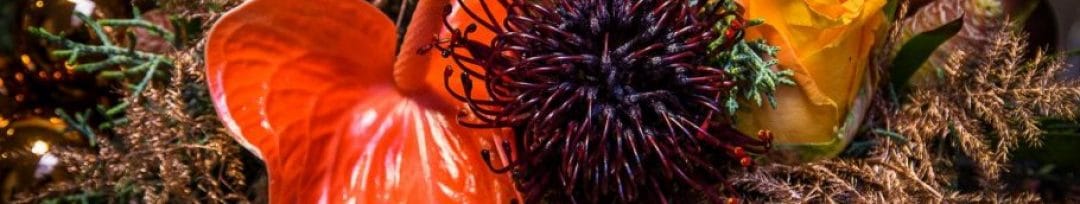 cropped-cropped-kerstdeco-3-2-1