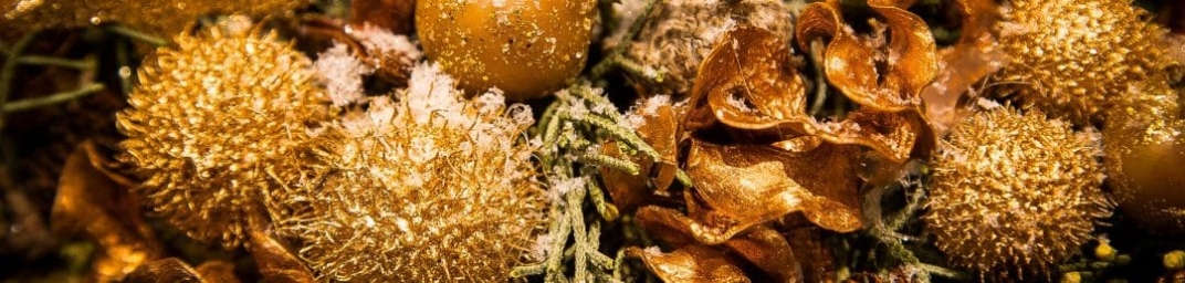 cropped-kerstdeco-1-2